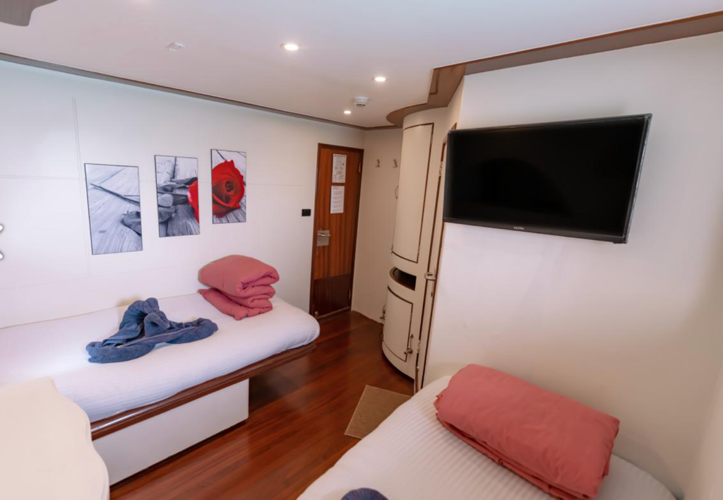 Lower deck twin cabin